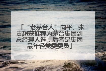 “老茅台人”向平、张贵超获推荐为茅台集团副总经理人选，后者是集团最年轻党委委员