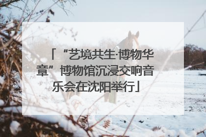 “艺境共生·博物华章”博物馆沉浸交响音乐会在沈阳举行