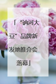 “讷河大豆”品牌新发地推介会落幕
