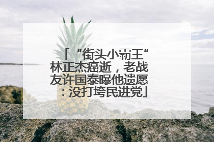 “街头小霸王”林正杰癌逝，老战友许国泰曝他遗愿：没打垮民进党