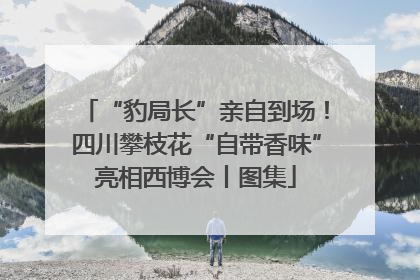 “豹局长”亲自到场！四川攀枝花“自带香味”亮相西博会丨图集