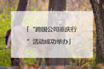 “跨国公司重庆行”活动成功举办