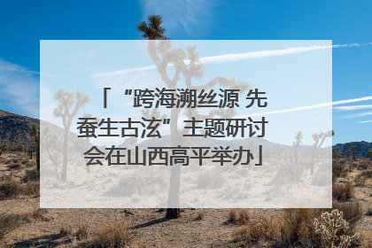 “跨海溯丝源 先蚕生古泫”主题研讨会在山西高平举办