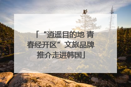 “逍遥目的地 青春经开区”文旅品牌推介走进韩国