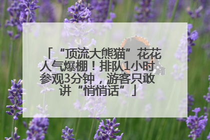 “顶流大熊猫”花花人气爆棚！排队1小时参观3分钟，游客只敢讲“悄悄话”