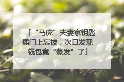 “马虎”夫妻家钥匙插门上忘拔，次日发现钱包竟“蒸发”了
