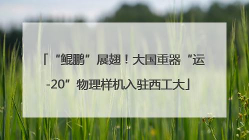 “鲲鹏”展翅！大国重器“运-20”物理样机入驻西工大
