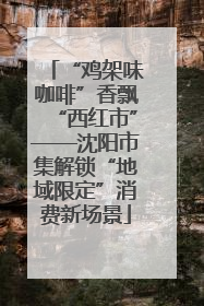 “鸡架味咖啡”香飘“西红市”——沈阳市集解锁“地域限定”消费新场景