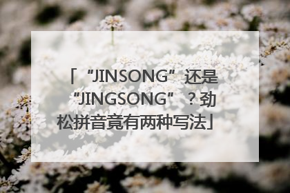 “JINSONG”还是“JINGSONG”？劲松拼音竟有两种写法
