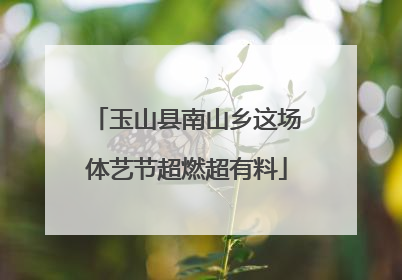 玉山县南山乡这场体艺节超燃超有料