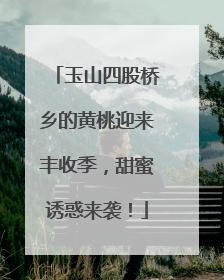 玉山四股桥乡的黄桃迎来丰收季，甜蜜诱惑来袭！