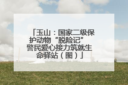 玉山：国家二级保护动物“脱险记” 警民爱心接力筑就生命驿站（图）