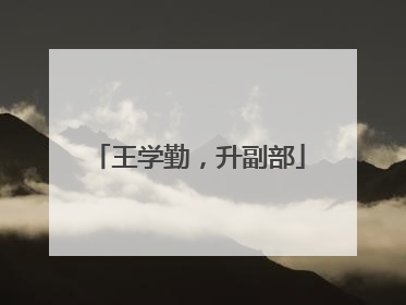 王学勤，升副部
