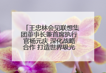 王忠林会见联想集团董事长兼首席执行官杨元庆 深化战略合作 打造世界级光电子信息产业集群