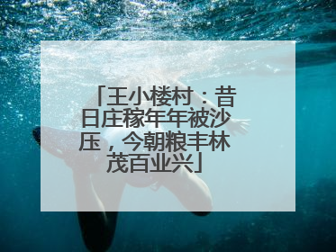 王小楼村：昔日庄稼年年被沙压，今朝粮丰林茂百业兴