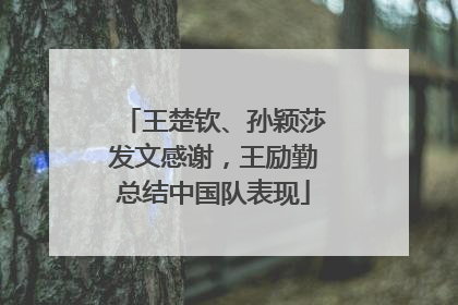 王楚钦、孙颖莎发文感谢，王励勤总结中国队表现