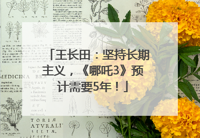 王长田：坚持长期主义，《哪吒3》预计需要5年！