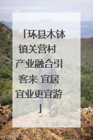 环县木钵镇关营村 产业融合引客来 宜居宜业更宜游