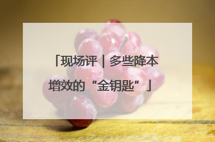现场评｜多些降本增效的“金钥匙”
