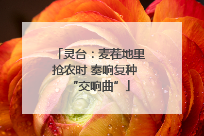 灵台：麦茬地里抢农时 奏响复种“交响曲”