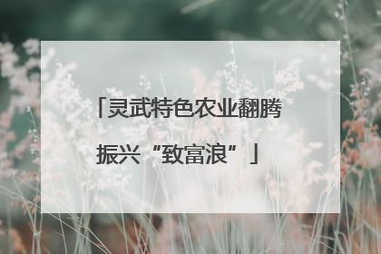 灵武特色农业翻腾振兴“致富浪”