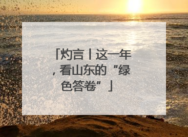 灼言丨这一年，看山东的“绿色答卷”