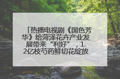 热播电视剧《国色芳华》给菏泽花卉产业发展带来“利好”，1.2亿枝芍药鲜切花绽放“国色芳华”