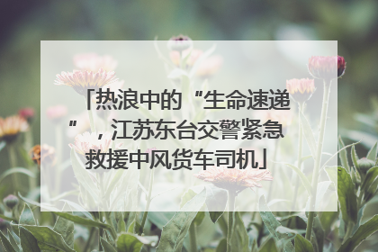 热浪中的“生命速递”，江苏东台交警紧急救援中风货车司机