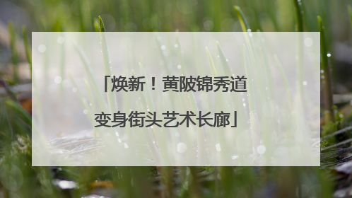 焕新！黄陂锦秀道变身街头艺术长廊