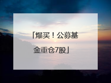 爆买！公募基金重仓7股