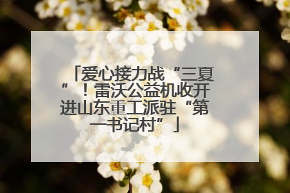 爱心接力战“三夏”！雷沃公益机收开进山东重工派驻“第一书记村”