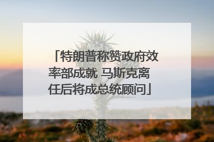 特朗普称赞政府效率部成就 马斯克离任后将成总统顾问