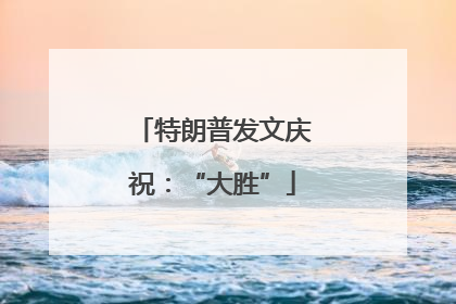 特朗普发文庆祝：“大胜”