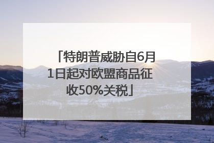 特朗普威胁自6月1日起对欧盟商品征收50%关税
