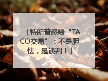 特朗普怒喷“TACO交易”：不是胆怯，是谈判！