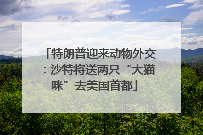 特朗普迎来动物外交：沙特将送两只“大猫咪”去美国首都