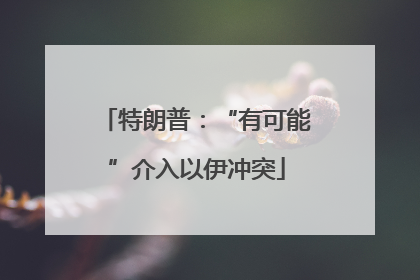 特朗普：“有可能”介入以伊冲突