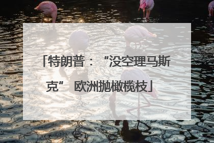 特朗普：“没空理马斯克” 欧洲抛橄榄枝