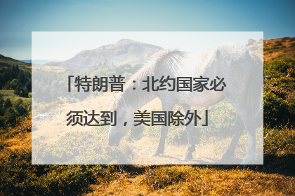 特朗普：北约国家必须达到，美国除外