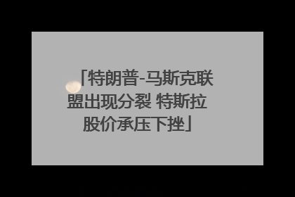 特朗普-马斯克联盟出现分裂 特斯拉股价承压下挫