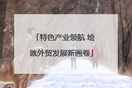 特色产业领航 绘就外贸发展新画卷