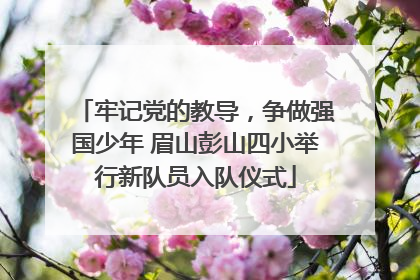 牢记党的教导，争做强国少年 眉山彭山四小举行新队员入队仪式