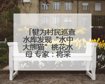 犍为村民巡查水库发现“水中大熊猫”桃花水母 专家：将采集样本鉴定具体种属