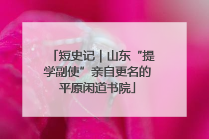 短史记｜山东“提学副使”亲自更名的平原闲道书院