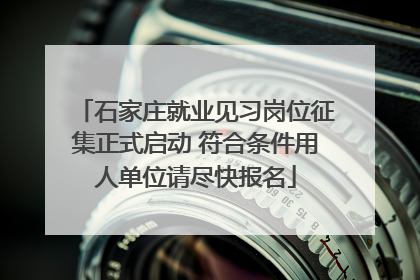 石家庄就业见习岗位征集正式启动 符合条件用人单位请尽快报名