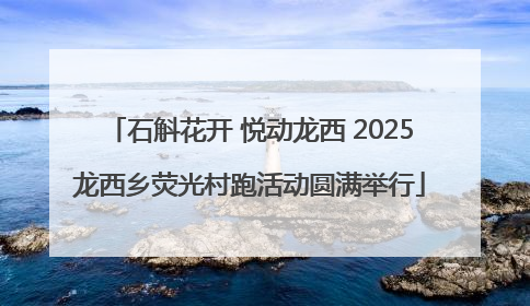 石斛花开 悦动龙西 2025龙西乡荧光村跑活动圆满举行