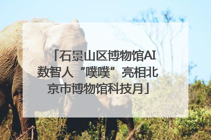 石景山区博物馆AI数智人“噗噗”亮相北京市博物馆科技月