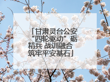 甘肃灵台公安“四轮驱动”砺精兵 战训融合筑牢平安基石