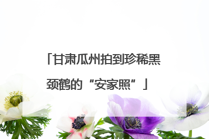 甘肃瓜州拍到珍稀黑颈鹤的“安家照”
