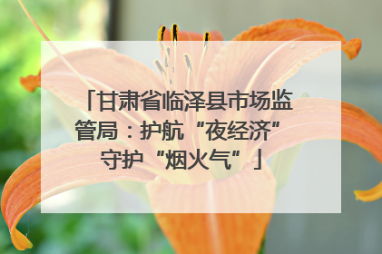 甘肃省临泽县市场监管局：护航“夜经济” 守护“烟火气”